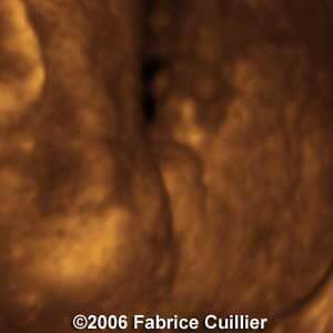 27weeks2