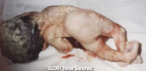 amarilla-1 copiar