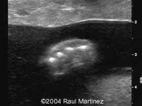 C011728