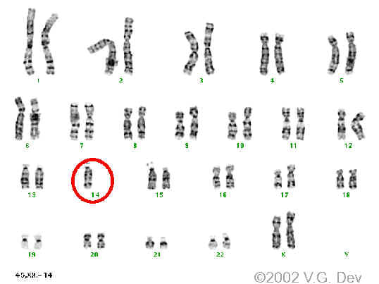 c1