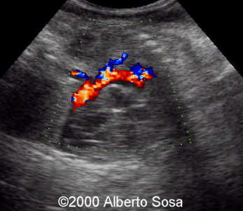 case0036-8