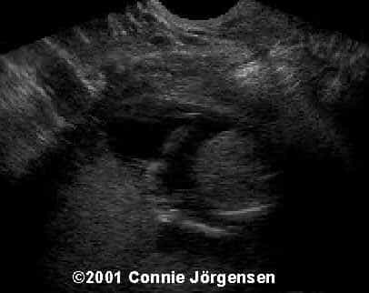 case0050-2
