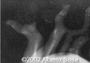 case0067-8