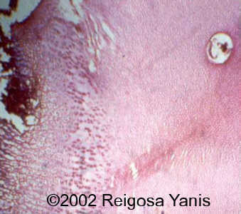 case0067-9