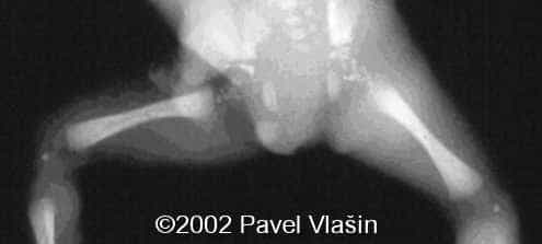 case0073-10