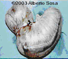 case0102-2