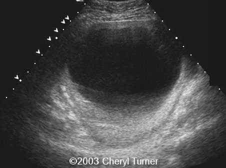 case0110-g