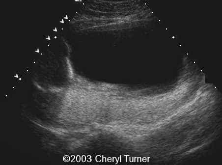 case0110-m