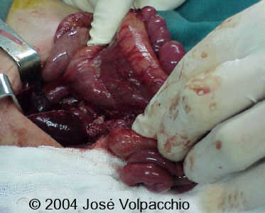 case0132-12