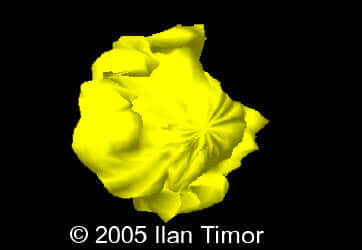 case154_20