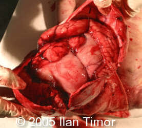 case154_21