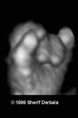 clenched-1