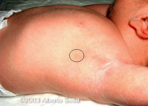 Diapositiva 12