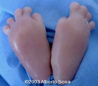 Diapositiva13