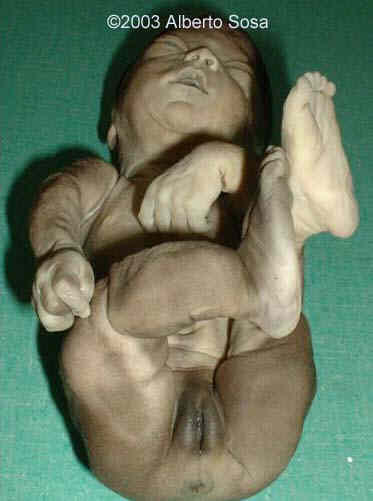Diapositiva6 copy