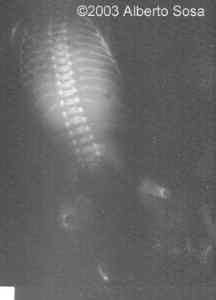 Diapositiva9 copy