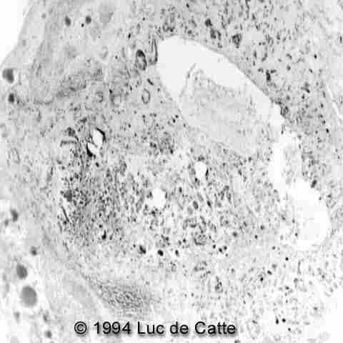 fig_07