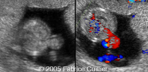 fig10