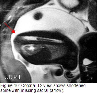 fig10