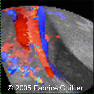 fig3
