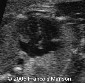 fig3