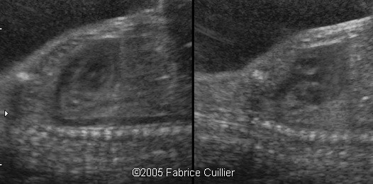fig3
