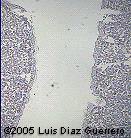 fig3b2