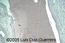 fig3b4