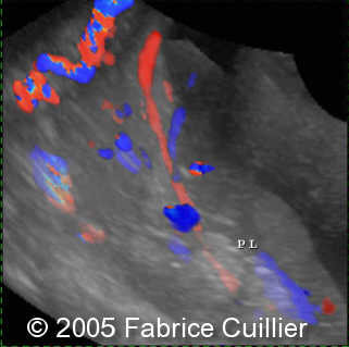 fig4
