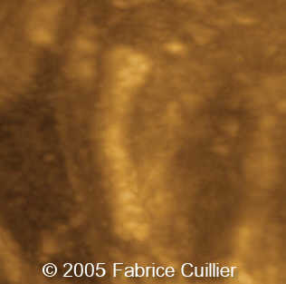 fig4