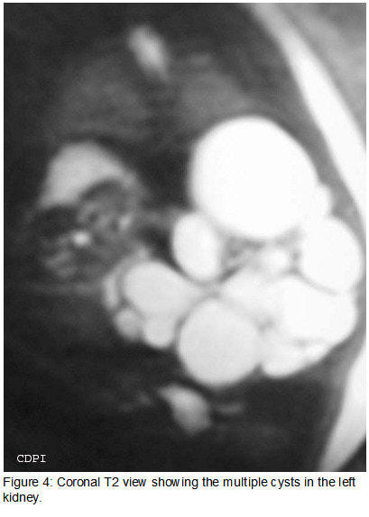 fig4