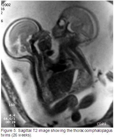 fig5