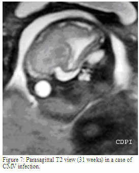fig7