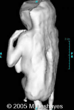 fig7