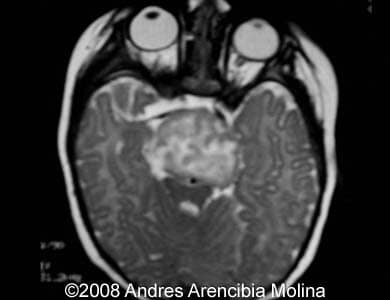 Fig7