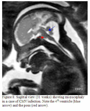fig8