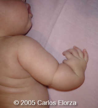 fig8