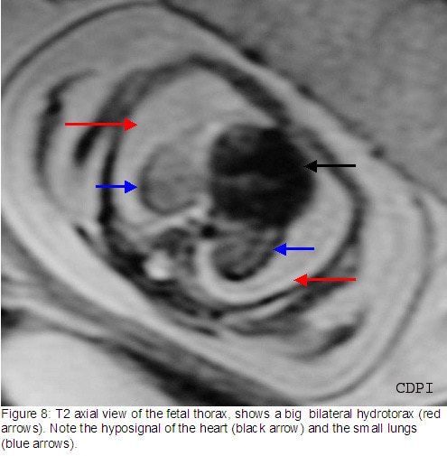 fig8