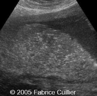fig8