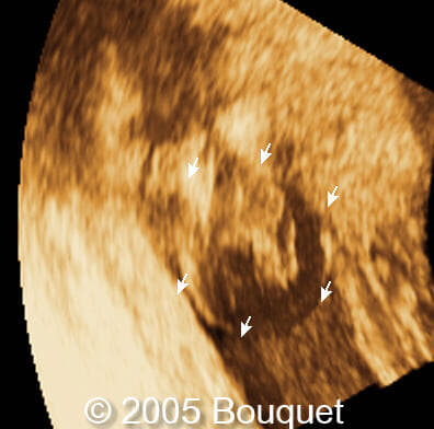 Fig8