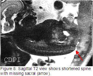 fig8