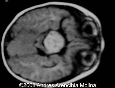 Fig8
