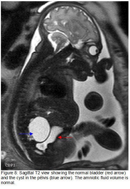 fig8
