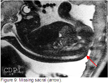 fig9
