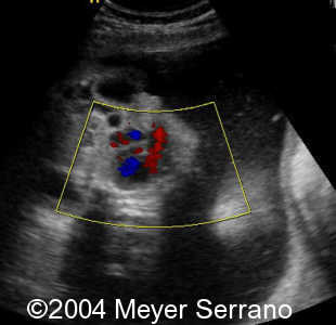 figure08