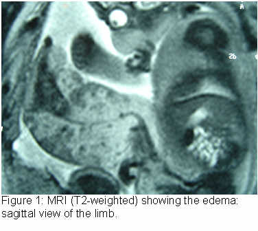 figure1