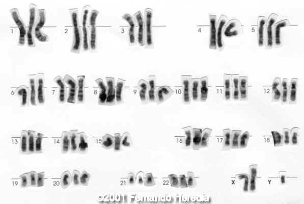 figure18