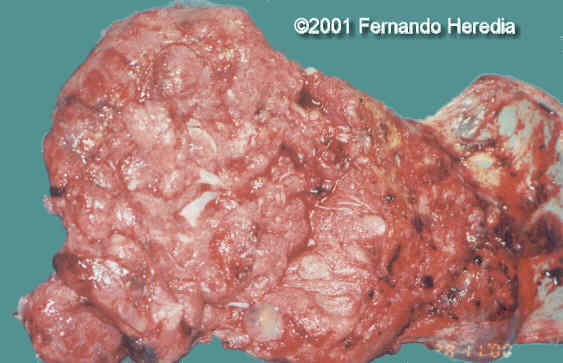 figure20