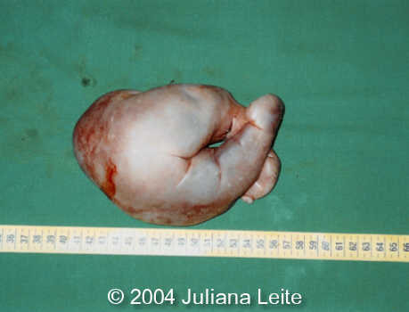 Figure3