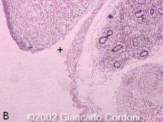 figure3b